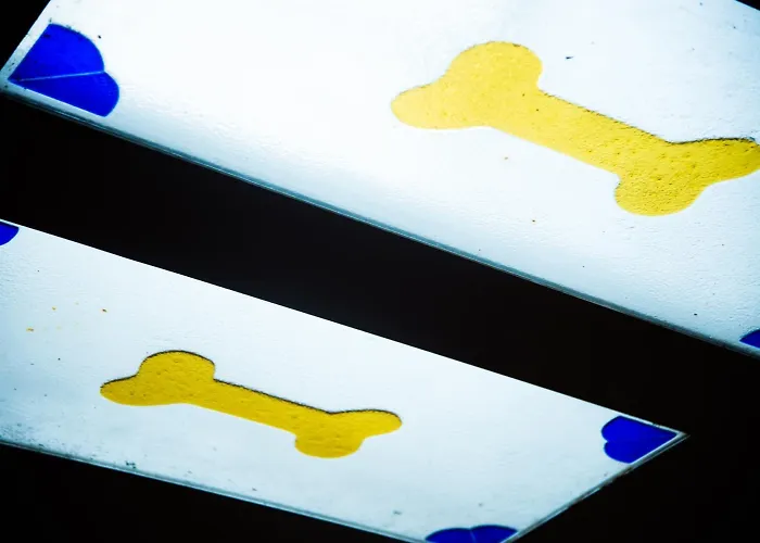 Affittacamere Hueso Trujillo